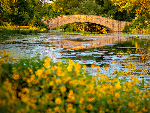 Lake with Bridge in Background